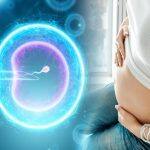 Long-Term Consequences of IVF