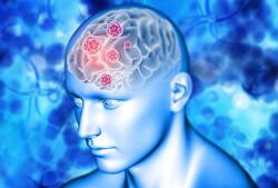 World Brain Day 2023: ब्रेन ट्यूमर से जुड़ी इन 7 बातों कभी न करें भरोसा, ऐसी बातें हैं सरासर झूठ