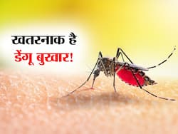 Dengue Signs: डेंगू बुखार के ये हैं 3 शुरुआती संकेत, नजरअंदाज करने पर जा सकती है मरीज की जान!