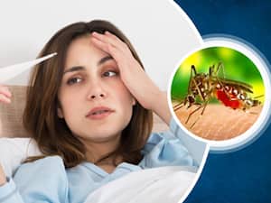Health Alert  :सावधान,  दिल्ली में  में तेजी से बढ़ रहे हैं डेंगू के मरीज