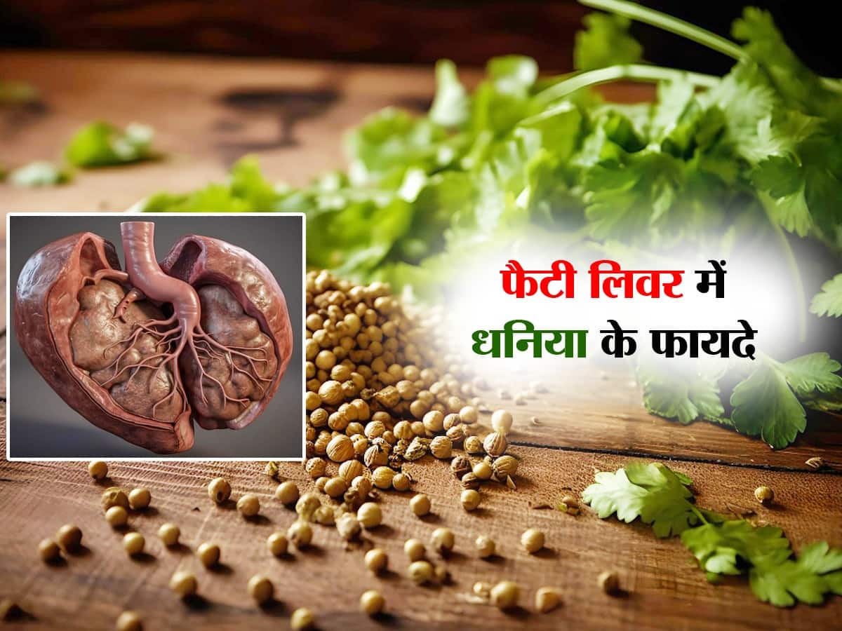 Fatty Liver Me Dhaniya Ke Fayde Coriander Benefits in Fatty Liver