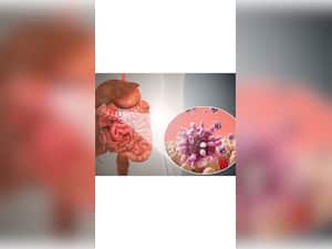 Stomach Flu: Know About Gastroenteritis Symptoms And Prevention Measures