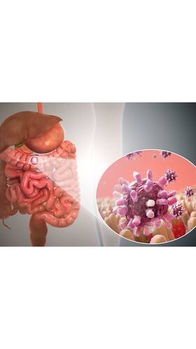 Stomach Flu: Know About Gastroenteritis Symptoms And Prevention Measures Stomach Flu: Know About Gastroenteritis Symptoms And Prevention Measures