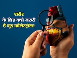 कोलेस्ट्रॉल से डरे नहीं! शरीर को होती है गुड कोलेस्ट्रॉल की भी जरूरत, जानिए गुड कोलेस्ट्रॉल के बेस्ट सोर्स