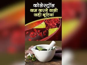 कोलेस्ट्रॉल को कम करने वाली 7 जड़ी-बूटियां