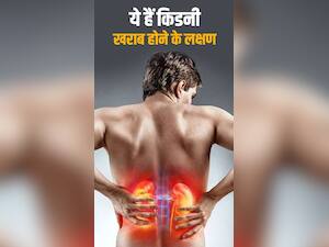 Kidney Failure : किडनी डैमेज होने पर दिखते हैं ये 10 लक्षण