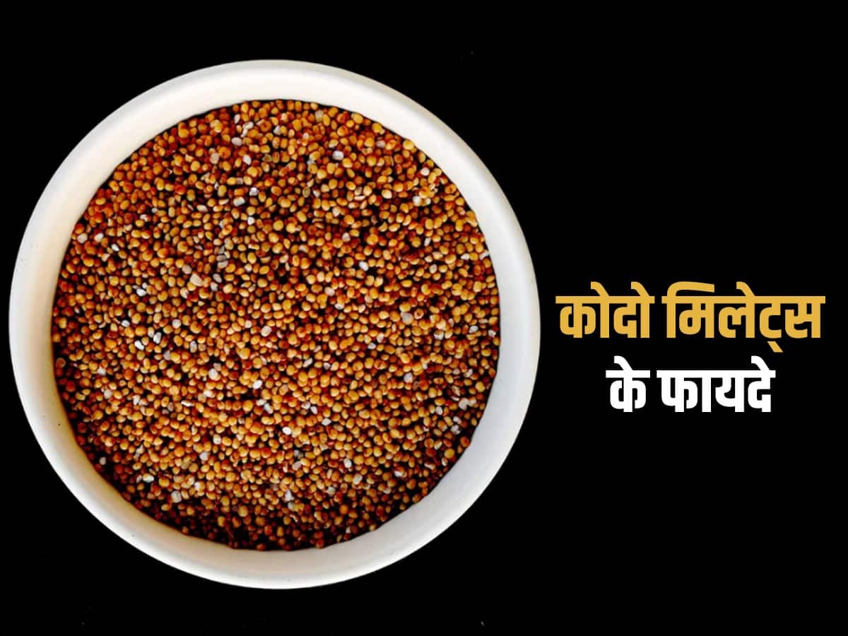 Kodo Millet Benefits in Hindi पोषण का पॉवर हाउस है 'कोदो मिलेट
