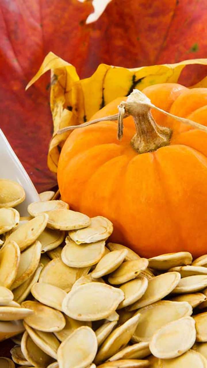 Why Diabetics Should Eat Pumpkin Seeds?