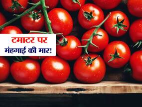 आपके शहर में बढ़ रहे हैं टमाटर के दाम तो इन 5 तरीकों से उन्हें करें स्टोर, लंबे समय तक नहीं होंगे खराब
