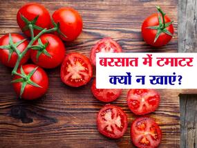 बरसात में टमाटर क्यों नहीं खाना चाहिए, आयुर्वेद के अनुसार जानिए इसके नुकसान