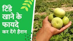 Tinda Benefits: सेहत के लिए फायदेमंद है टिंडे का सेवन, जानें गजब के फायदे
