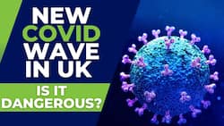 New Covid Variant    Eris    Drives Spike In Covid Cases In UK, Will India Witness Another Deadly Pandemic? Watch Video