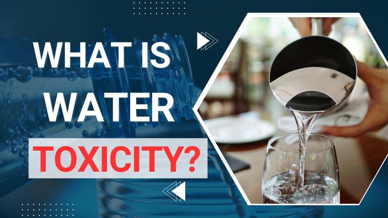 Water Intoxication: Understanding the Dangers of Drinking Too Much Water | TheHealthSite.com