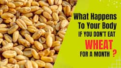What Happens To Your Body If You Don   t Eat Wheat For A Month?