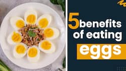 The Five Benefits of Eating Eggs!