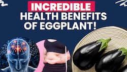 The Nutritional Powerhouse: Health Benefits Of Eggplant