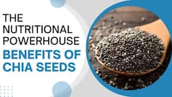 Chia Seeds Benefits: Aid in Weight Loss and Control of Diabetes