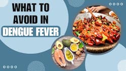 Diet For Dengue: Foods To Avoid For Quick Recovery!