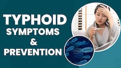Typhoid Cases On Rise In India, Know Early Signs, Symptoms And Preventive Measures     Watch Video