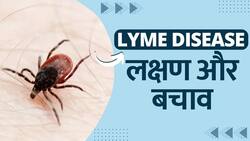 Lyme Disease: क्या है Lyme Disease? जिससे सुपरमॉडल Bella Hadid पिछले 15 सालों हैं पीड़ित, जानें लक्षण और बचाव | Watch