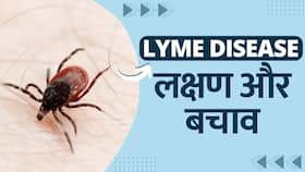 Lyme Disease: क्या है Lyme Disease? जिससे सुपरमॉडल Bella Hadid पिछले 15 सालों हैं पीड़ित, जानें लक्षण और बचाव | Watch