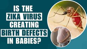 Zika Virus detected in India: learn about the early warning signs, symptoms, prevention, and treatment
