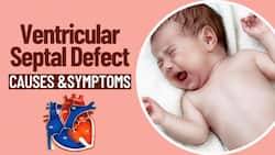 Bipasha Basu   s Daughter Has Ventricular Septal Defect, Know Causes And Symptoms Of This Heart Issue     Watch Video
