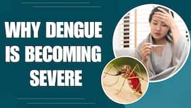The Cause Of The Increasing Severity Of Dengue Fever Cases