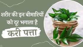 Curry Leaves Benefits: शरीर के इन बीमारियों को दूर भगाता है करी पत्ता, जानिए इसके अनगिनत फायदे