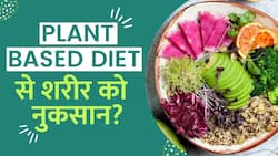 Plant Based Diet Side Effects: शरीर के लिए हानिकारक भी हो सकती है ये Diet