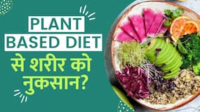 Plant Based Diet Side Effects: शरीर के लिए हानिकारक भी हो सकती है ये Diet