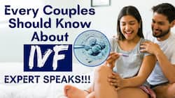 Everything You Need to Know Before You Do IVF!