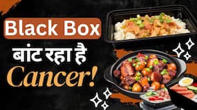 Cancer Causes: खाने का प्लास्टिक BLACK BOX बनता है कैंसर का कारण, जानें क्या है पूरा मामला
