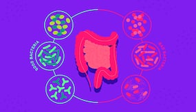 Role Of Probiotics In Diarrhoea Management: Restoring Gut Health With Good Bacteria