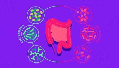 Role Of Probiotics In Diarrhoea Management: Restoring Gut Health With Good Bacteria