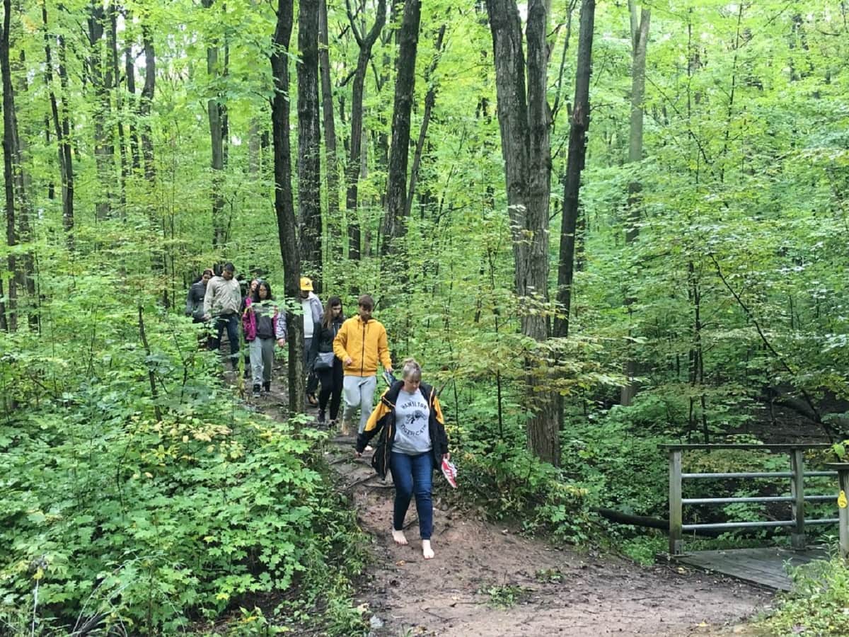 Find Out The Health Benefits Of Forest Bathing - Vimarsana News