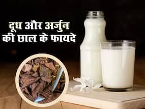 रात को गर्म दूध में डालकर करें अर्जुन की छाल का करें सेवन, अनगिनत बीमारियों से मिलेगा छुटकारा