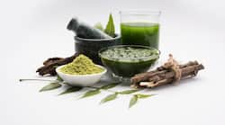 Ritucharya In Ayurveda: 4 Ayurvedic Guidelines For Varsha Ritu