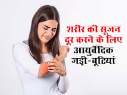 शरीर की सूजन दूर करने में मदद करेंगी ये आयुर्वेदिक जड़ी-बूटियां, जानें प्रयोग का तरीका