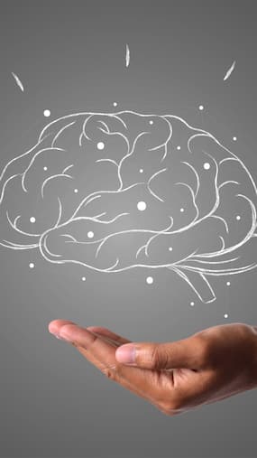 Sharpen Your Memory And Focus With These 9 Nutritious Foods