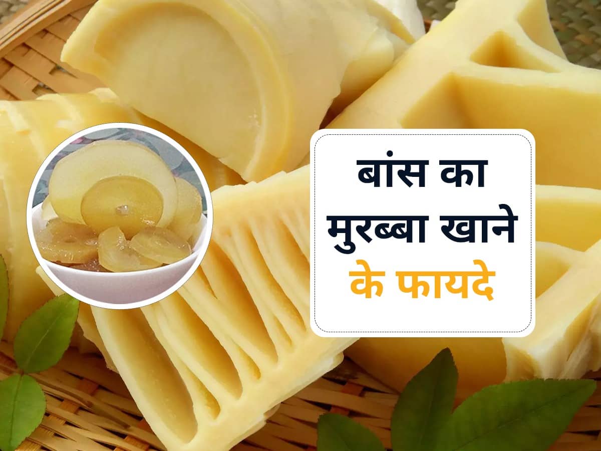 Bans Ka Murabba Benefits in Hindi बांस की करोली का मुरब्बा खाने के