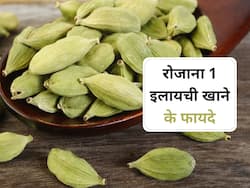 रोजाना खाएं बस 1 इलायची, वजन कम होने से लेकर सेहत को मिलेंगे ये 5 जबरदस्त फायदे 