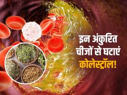 नसों में चिपके कोलेस्ट्रॉल को निकालने के लिए अंकुरित करके खाएं ये 3 चीजें, कुछ ही दिनों में मिलेगा आराम