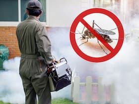 Vector-Borne Diseases On The Rise In Pune City