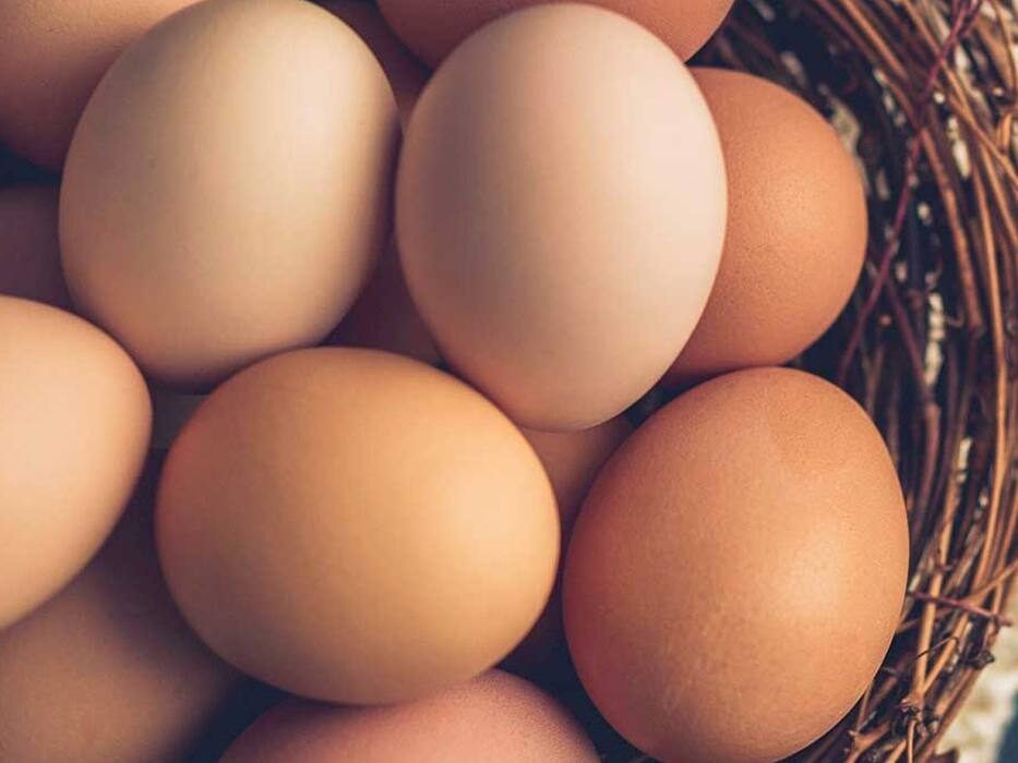 7 Best Foods That Improve Eye Sight Health