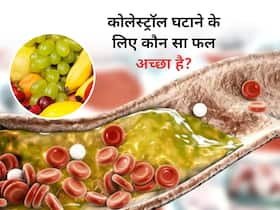 शरीर में गंदा चिपचिपा कोलेस्ट्रॉल कम करने में मदद कर सकता है ये फल, रोजाना करें सेवन