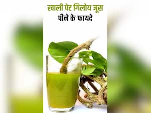 सुबह खाली पेट गिलोय का जूस पीने के फायदे