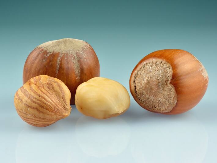 Health Benefits of Hazelnuts 5 Ways These Nuts Can Boost Your Heart
