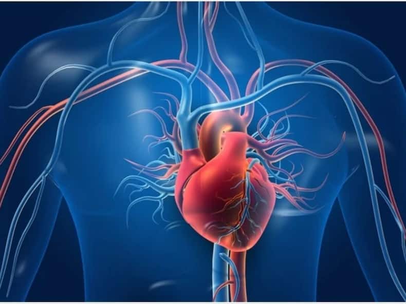 thehealthsite.com top news