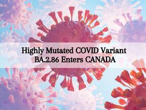 Is COVID Making A Comeback? Canada Detects First Case of Highly Mutated Coronavirus Variant BA.2.86 Is COVID Making A Comeback? Canada Detects First Case of Highly Mutated Coronavirus Variant BA.2.86